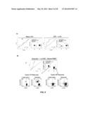 METHODS FOR DIAGNOSIS PROGNOSIS AND METHODS OF TREATMENT diagram and image