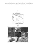 COMPOUND FOR INHIBITING SNAIL-P53 BINDING AND THERAPEUTIC AGENT FOR CANCER     INCLUDING THE COMPOUND AS EFFECTIVE COMPONENT diagram and image