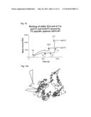 COBALAMIN ASSAY diagram and image