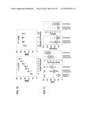 DISEASE SEVERITY INDEX FOR ASSESSMENT OF CHRONIC LIVER DISEASE AND METHOD     FOR DIAGNOSIS OF THREE DISTINCT SUBTYPES OF PRIMARY SCLEROSING     CHOLANGITIS diagram and image