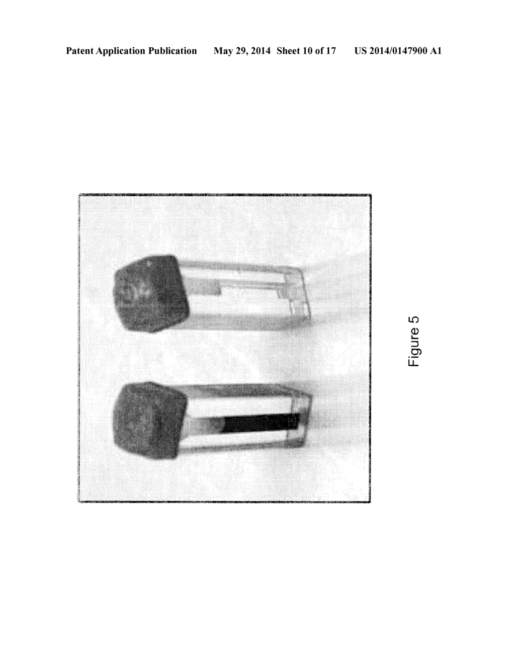 MICROORGANISMS AND METHODS FOR CONVERSION OF SYNGAS AND OTHER CARBON     SOURCES TO USEFUL PRODUCTS - diagram, schematic, and image 11