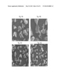 ABRASIVE PARTICLES HAVING A UNIQUE MORPHOLOGY diagram and image