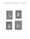 ABRASIVE PARTICLES HAVING A UNIQUE MORPHOLOGY diagram and image