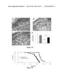 SMALL MOLECULE THERAPEUTIC COMPOUNDS TARGETING THIOESTERASE DEFICIENCY     DISORDERS AND METHODS OF USING THE SAME diagram and image