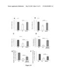 SMALL MOLECULE THERAPEUTIC COMPOUNDS TARGETING THIOESTERASE DEFICIENCY     DISORDERS AND METHODS OF USING THE SAME diagram and image