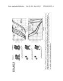 SYSTEM AND METHOD FOR SHAPE BASED RETRIEVAL OF PRIOR PATIENTS FOR     AUTOMATION AND QUALITY CONTROL OF RADIATION THERAPY TREATMENT PLANS diagram and image