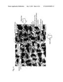 EROSION-RESISTANT CONDUCTIVE COMPOSITE MATERIAL COLLECTING ELECTRODE FOR     WESP diagram and image