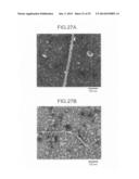 POROUS STRUCTURE BODY AND METHOD FOR PRODUCING THE SAME diagram and image