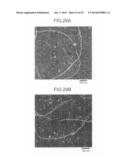 POROUS STRUCTURE BODY AND METHOD FOR PRODUCING THE SAME diagram and image