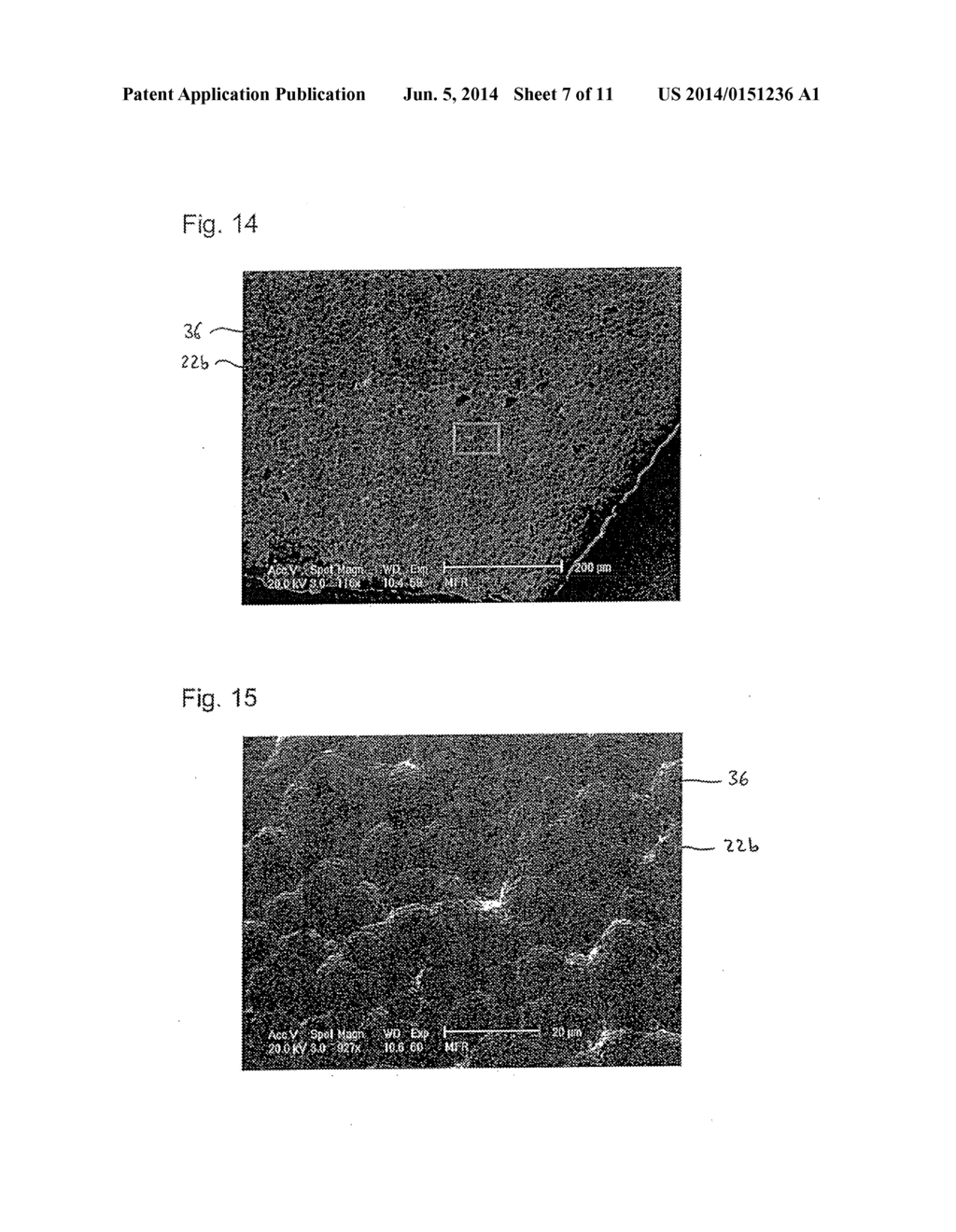 Nanowire Structural Element - diagram, schematic, and image 08