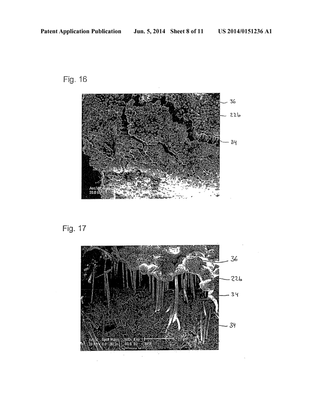 Nanowire Structural Element - diagram, schematic, and image 09