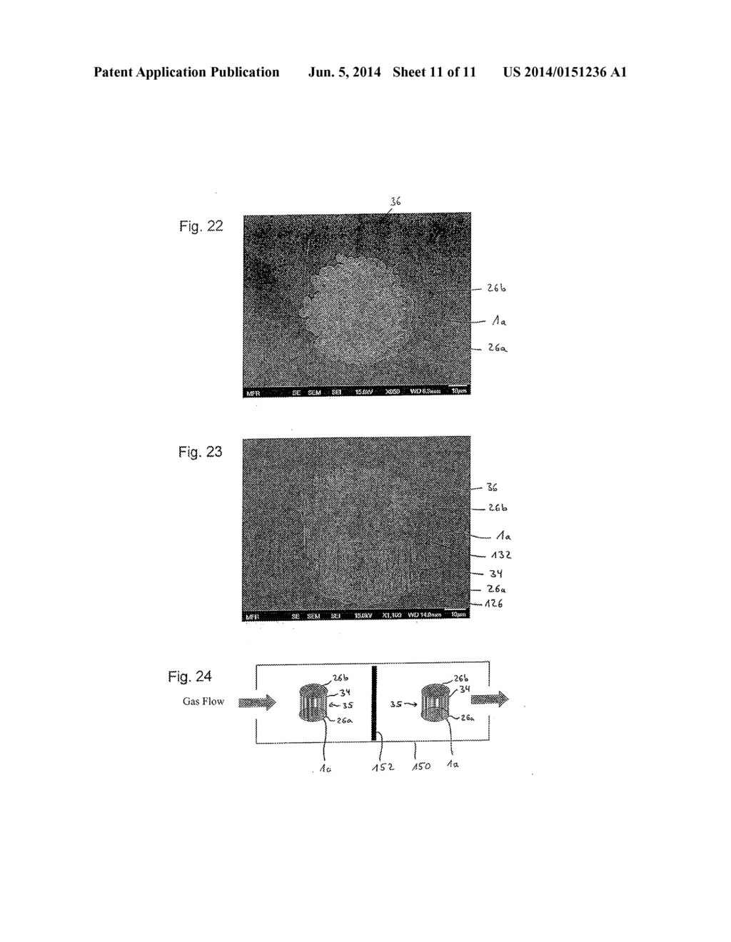 Nanowire Structural Element - diagram, schematic, and image 12