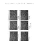 PROBE ARRANGEMENT FOR A FLOTATION CELL diagram and image