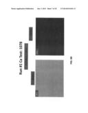 GAS AND MOISTURE PERMEATION BARRIERS diagram and image