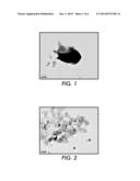 Phase Change Ink Comprising Modified Naturally-Derived Colorants diagram and image