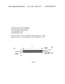 QUAD OPTICAL TIME DOMAIN REFLECTOMETER (OTDR) diagram and image