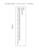 COMMUNICATION SYSTEM, TRANSMISSION DEVICE, RECEPTION DEVICE, COMMUNICATION     METHOD, PROGRAM, AND COMMUNICATION CABLE diagram and image