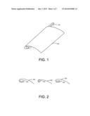 FAN BLADE WITH FLEXIBLE AIRFOIL WING diagram and image