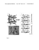 Pharmacophores for Amyloid Fibers Involved in Alzheimer s Disease diagram and image