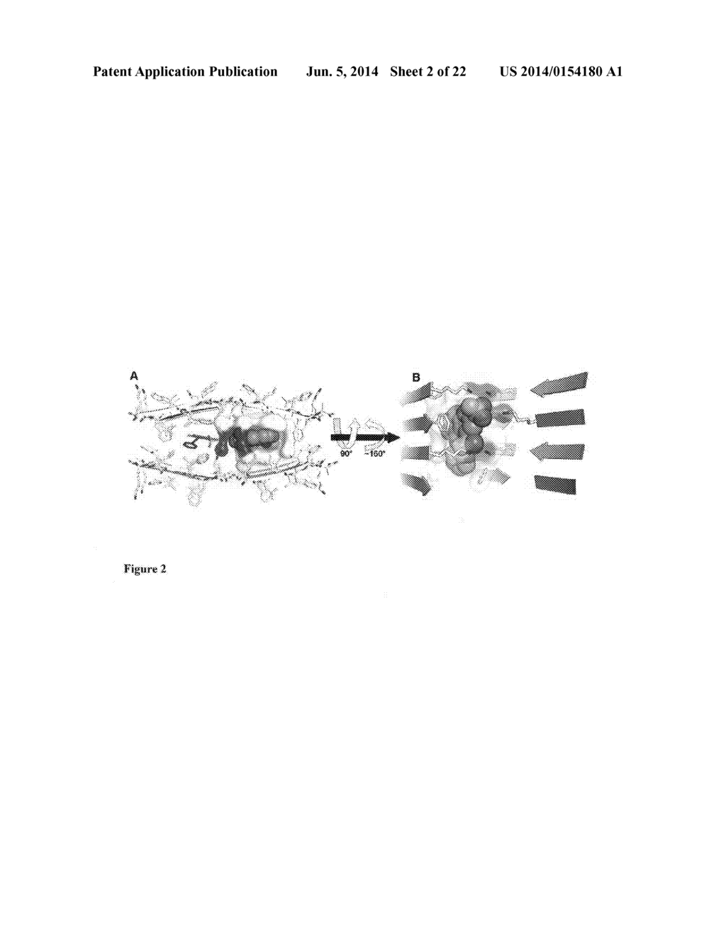 Pharmacophores for Amyloid Fibers Involved in Alzheimer's Disease - diagram, schematic, and image 03