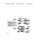 Pharmacophores for Amyloid Fibers Involved in Alzheimer s Disease diagram and image