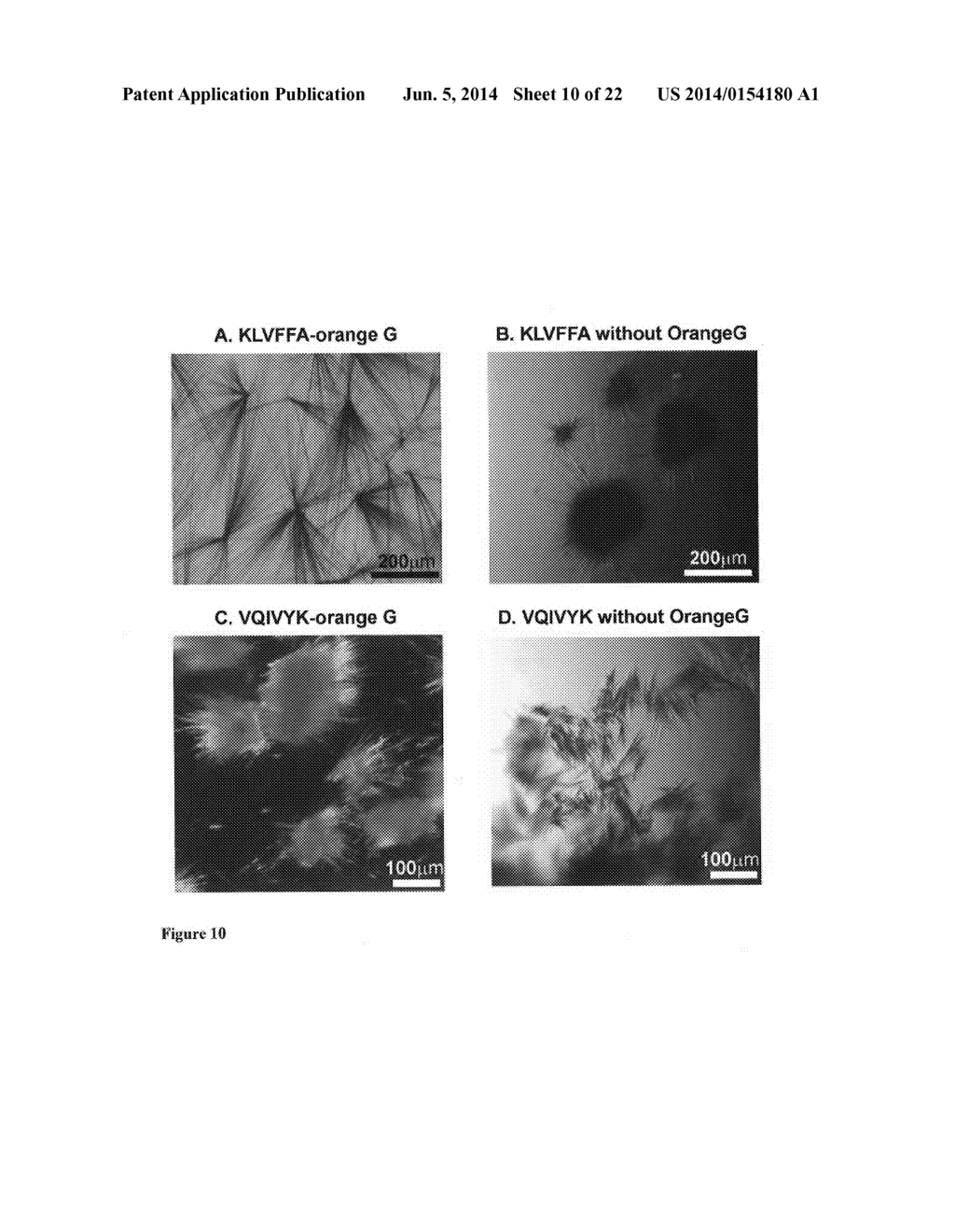 Pharmacophores for Amyloid Fibers Involved in Alzheimer's Disease - diagram, schematic, and image 11