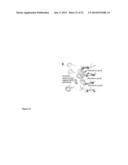 Pharmacophores for Amyloid Fibers Involved in Alzheimer s Disease diagram and image