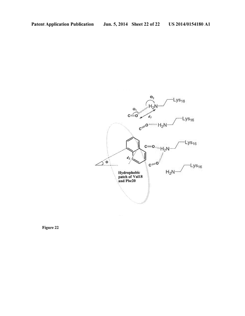 Pharmacophores for Amyloid Fibers Involved in Alzheimer's Disease - diagram, schematic, and image 23