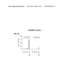 PROCESS FOR THE IDENTIFICATION OF COMPOUNDS FOR TREATING CANCER diagram and image