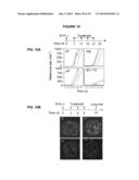 PROCESS FOR THE IDENTIFICATION OF COMPOUNDS FOR TREATING CANCER diagram and image