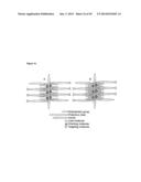 Hydrophobic Core Carrier Compositions for Delivery of Therapeutic Agents,     Methods of Making and Using The Same diagram and image