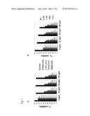 RECOMBINANT VECTOR FOR PRODUCING AND SECRETING PEPTIDE OR PROTEIN OF     INTEREST BY PROPIONIBACTERIA AND APPLICATIONS THEREOF diagram and image