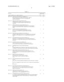 RECOMBINANT VECTOR FOR PRODUCING AND SECRETING PEPTIDE OR PROTEIN OF     INTEREST BY PROPIONIBACTERIA AND APPLICATIONS THEREOF diagram and image