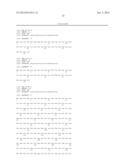 RECOMBINANT VECTOR FOR PRODUCING AND SECRETING PEPTIDE OR PROTEIN OF     INTEREST BY PROPIONIBACTERIA AND APPLICATIONS THEREOF diagram and image