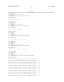 RECOMBINANT VECTOR FOR PRODUCING AND SECRETING PEPTIDE OR PROTEIN OF     INTEREST BY PROPIONIBACTERIA AND APPLICATIONS THEREOF diagram and image