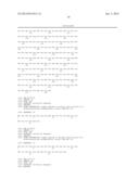 RECOMBINANT VECTOR FOR PRODUCING AND SECRETING PEPTIDE OR PROTEIN OF     INTEREST BY PROPIONIBACTERIA AND APPLICATIONS THEREOF diagram and image