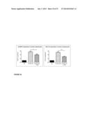 Use of TAK1 Inhibitor to Achieve Glycemic Control in Mammals diagram and image