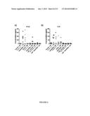 PAPAYA MOSAIC VIRUS COMPOSITIONS AND USES THEREOF FOR STIMULATION OF THE     INNATE IMMUNE RESPONSE diagram and image