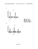 PAPAYA MOSAIC VIRUS COMPOSITIONS AND USES THEREOF FOR STIMULATION OF THE     INNATE IMMUNE RESPONSE diagram and image