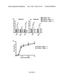 PAPAYA MOSAIC VIRUS COMPOSITIONS AND USES THEREOF FOR STIMULATION OF THE     INNATE IMMUNE RESPONSE diagram and image