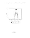 PAPAYA MOSAIC VIRUS COMPOSITIONS AND USES THEREOF FOR STIMULATION OF THE     INNATE IMMUNE RESPONSE diagram and image