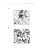 PAPAYA MOSAIC VIRUS COMPOSITIONS AND USES THEREOF FOR STIMULATION OF THE     INNATE IMMUNE RESPONSE diagram and image