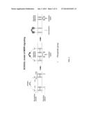 INHIBITION OF TREM RECEPTOR SIGNALING WITH PEPTIDE VARIANTS diagram and image