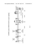 INHIBITION OF TREM RECEPTOR SIGNALING WITH PEPTIDE VARIANTS diagram and image