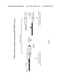 INHIBITION OF TREM RECEPTOR SIGNALING WITH PEPTIDE VARIANTS diagram and image