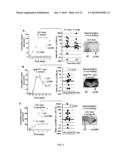 ANTIMICROBIAL COMPOSITIONS FOR TREATING MICROBIAL INFECTIONS diagram and image