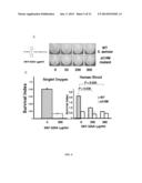 ANTIMICROBIAL COMPOSITIONS FOR TREATING MICROBIAL INFECTIONS diagram and image