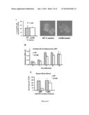 ANTIMICROBIAL COMPOSITIONS FOR TREATING MICROBIAL INFECTIONS diagram and image