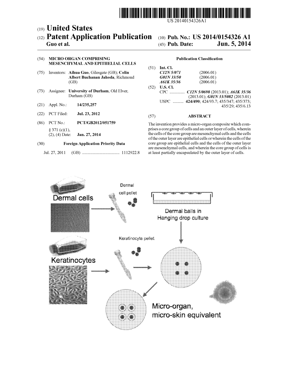 MICRO ORGAN COMPRISING MESENCHYMAL AND EPITHELIAL CELLS - diagram, schematic, and image 01