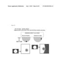 MICRO ORGAN COMPRISING MESENCHYMAL AND EPITHELIAL CELLS diagram and image